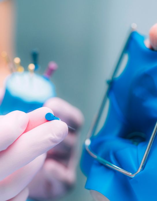 Endodontia